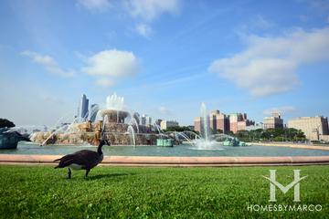 Clarence F. Buckingham Memorial Fountain in Chicago, IL
