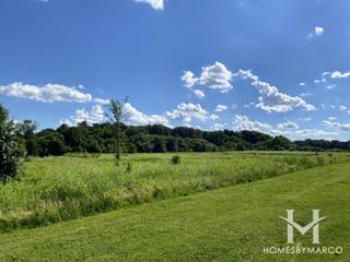 Eagles Forest Preserve in Elgin, IL