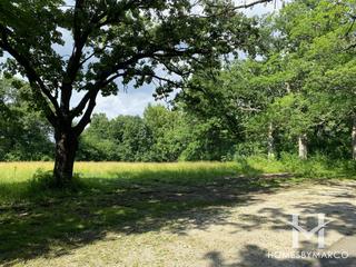 Tyler Creek Forest Preserve in Elgin, IL