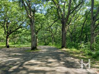 Tyler Creek Forest Preserve in Elgin, IL