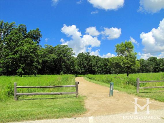 Old School Forest Preserve in Libertyville, IL