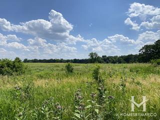 Kenyon Farm Forest Preserve in Elgin, IL