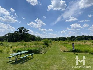 Kenyon Farm Forest Preserve in Elgin, IL