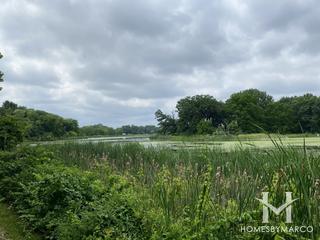 Burnidge & Paul Wolff Forest Preserve in Elgin, IL