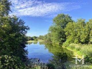 Wadsworth Prairie Nature Preserve in Wadsworth, IL