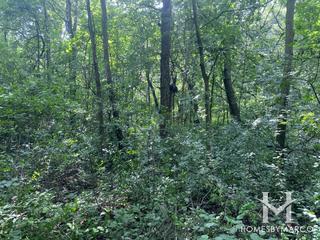 Burnidge Woods Park in Elgin, IL