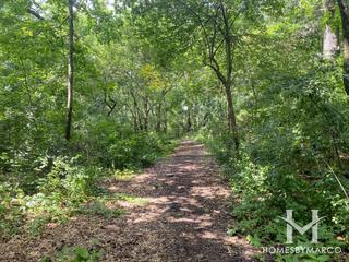 Burnidge Woods Park in Elgin, IL