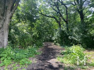 Burnidge Woods Park in Elgin, IL