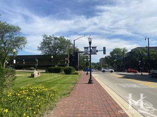 Carleton Rogers Park in Elgin, IL