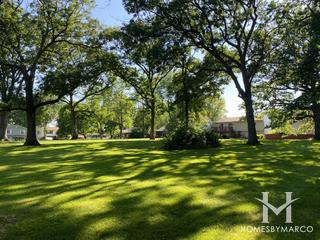 Corley Drive Park in Elgin, IL