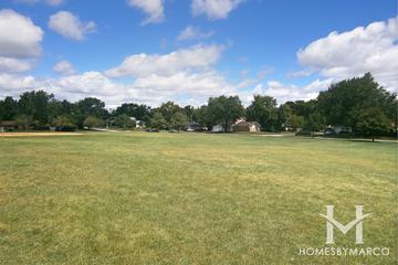 Chino Park in Hoffman Estates, IL
