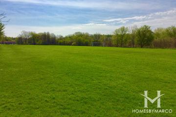 Richard Taylor Park & Skate Park in Lake in the Hills, IL