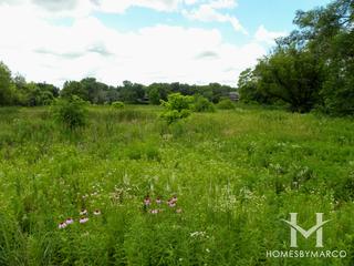 Riverside Park in St. Charles, IL