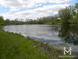 Braewood Park in Algonquin, IL
