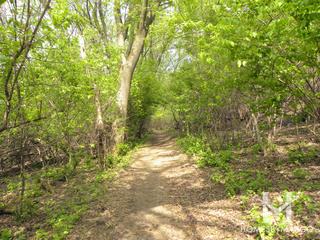 Braewood Park in Algonquin, IL