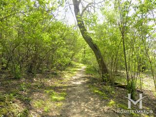 Braewood Park in Algonquin, IL