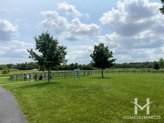 Clow Stephens Park in Plainfield, IL