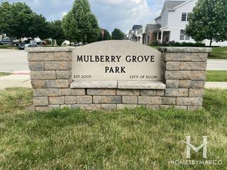 Photos of Mulberry Grove Park in Elgin, IL