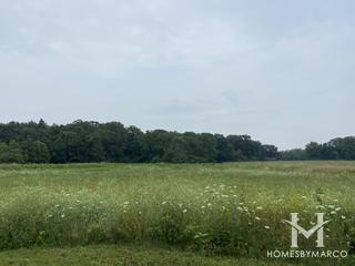 Mather Woods Forest Preserve in Plainfield, IL