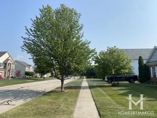 Parkview Meadows Park in Plainfield, IL