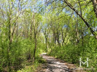 High Hill Park & Nature Preserve in Algonquin, IL