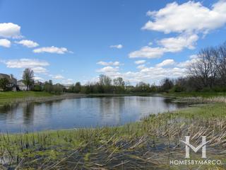 Ted Spella Community Park in Algonquin, IL