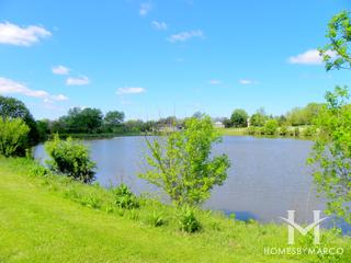 Photos of Morris Park in Homer Glen, IL