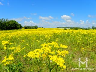 Photos of Twin Lakes Park in Homer Glen, IL