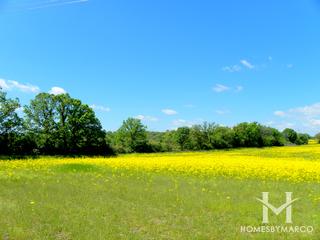 Twin Lakes Park in Homer Glen, IL