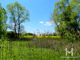 Twin Lakes Park in Homer Glen, IL