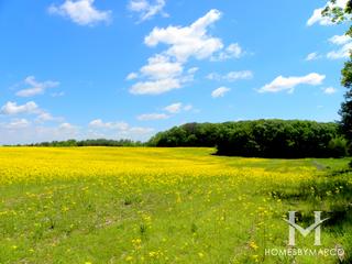 Twin Lakes Park in Homer Glen, IL