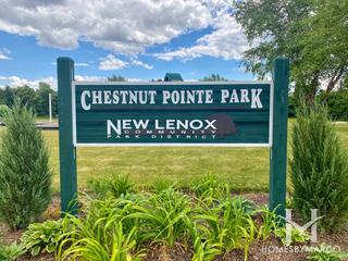 Photos of Chestnut Pointe Park in New Lenox, IL