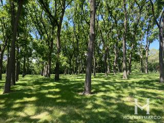 Walton Island Park in Elgin, IL