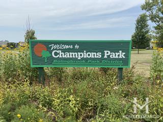 Photos of Champions Park in Bolingbrook, IL