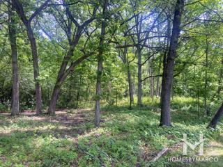 Brierwoods Preserve in Hawthorn Woods, IL