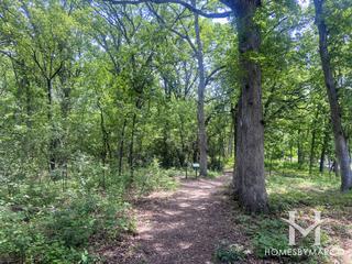 Brierwoods Preserve in Hawthorn Woods, IL