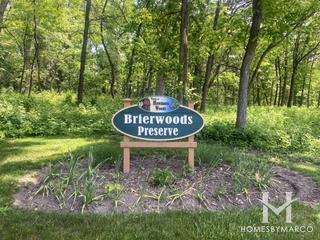 Photos of Brierwoods Preserve in Hawthorn Woods, IL