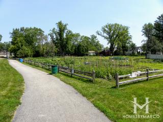 Marjorie Davis Park in Elmhurst, IL