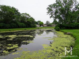 Photos of Weeks Park East in Carol Stream, IL