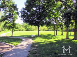 Butternut Creek Woods Park in Frankfort, IL