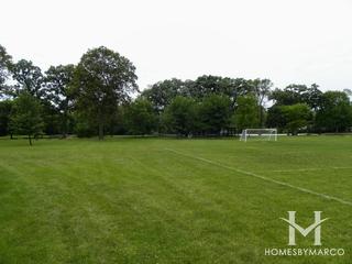 Salt Creek Park in Elmhurst, IL