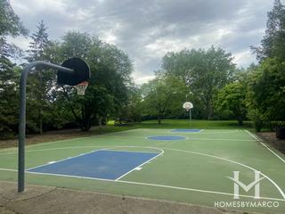 Appleseed Park in Elk Grove Village, IL