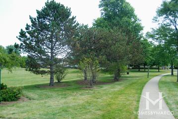 Cooney Meadow Park in Elk Grove Village, IL