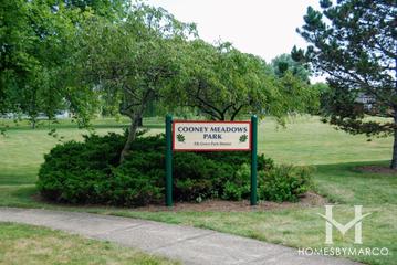 Photos of Cooney Meadow Park in Elk Grove Village, IL