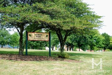 Photos of Marsh Park in Elk Grove Village, IL