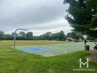 Marshall Park in Elk Grove Village, IL