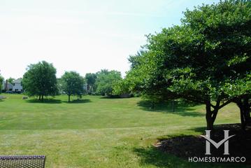 Potomac Park in Elk Grove Village, IL