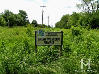 Wild Meadows Trace Park in Elmhurst, IL