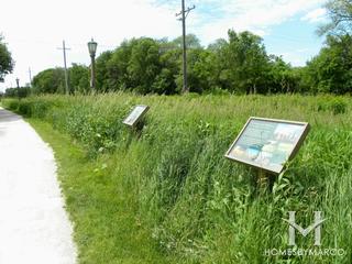 Wild Meadows Trace Park in Elmhurst, IL