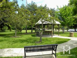 Wild Meadows Trace Park in Elmhurst, IL